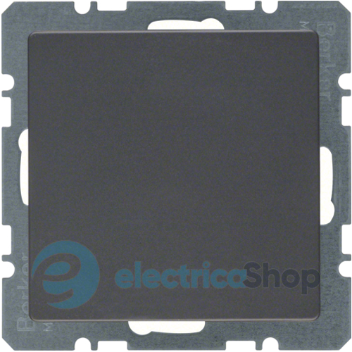 Заглушка без цоколя з центральною панеллю, антрацит, Q.1/Q.3 10096086