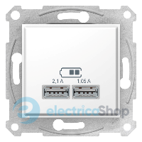 Розетка 2-а з USB виходами для зарядки SDN2710221, колір білий