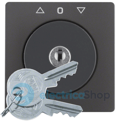 Накладка поворотного вимикача для жалюзі з замком, антрацит, Q.1/Q.3 10816086