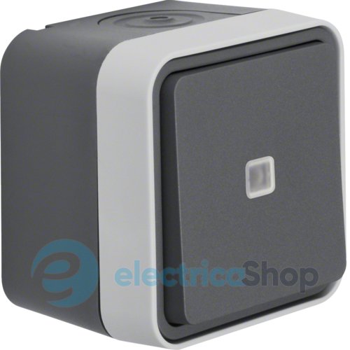Переключатель с подсветкой IP55, серый, 10АX/250В W.1