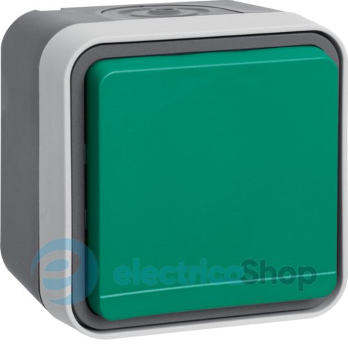 Розетка з з/к з зеленою кришкою IP55, сіра, 16А/250В W.1