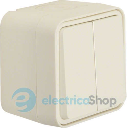 Кнопка 2-клавишная IP55, полярно белый, 10АX/250В W.1