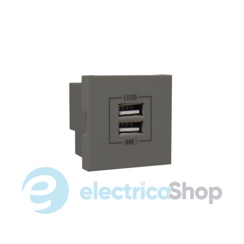 Двойное зарядное устройство USB типа A - 2мод. Графит 45439 SGR, Quadro 45, Efapel