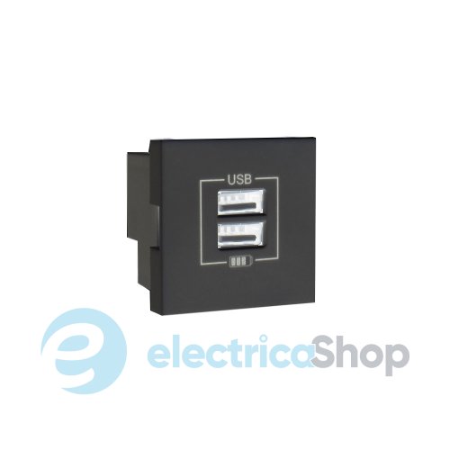 Двойное зарядное устройство USB типа A - 2мод. Антрацит 45439 SAT Quadro 45 Efapel