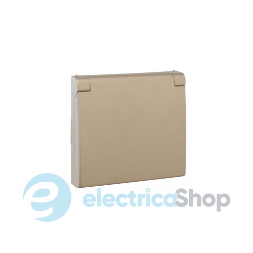 Центральная панель розетки с крышкой 2P+Z, ШУКО (IP44) Платина, 50634 TPL, Efapel APOLO 5000