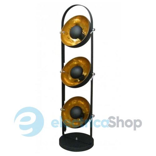 Торшер Zuma ANTENNE TS-130801F-BKGO