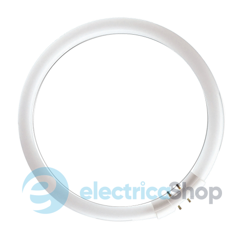 Лампа круглая Philips MASTER TL5 Circular (40W/840 2GX13)