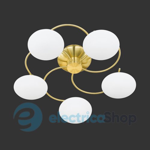 Потолочный светильник TRIO 6380051-08 LENTIN