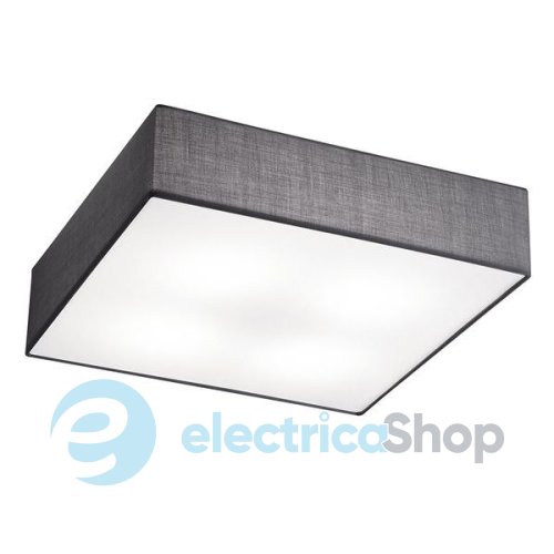 Потолочный светильник TRIO 603800487 EMBASSY