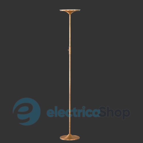 Торшер TRIO 429110104 ARANGO