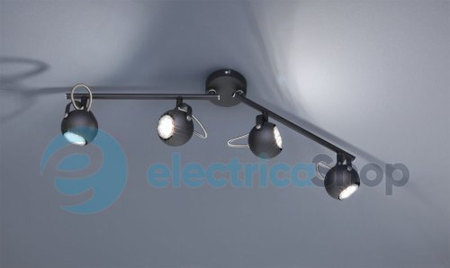 Спот TRIO R80054032 BASTIA