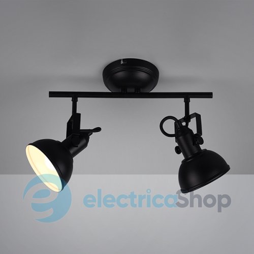 Світильник TRIO R80152032 GINA