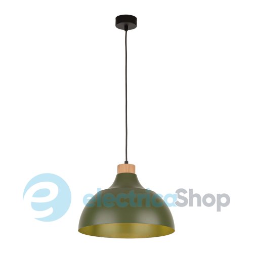 Підвісний світильник TK-Lighting CAP GREEN 5665