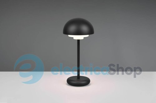 Настольная лампа TRIO ELLIOT R52306132