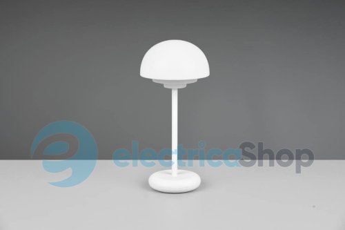 Настольная лампа TRIO ELLIOT R52306131