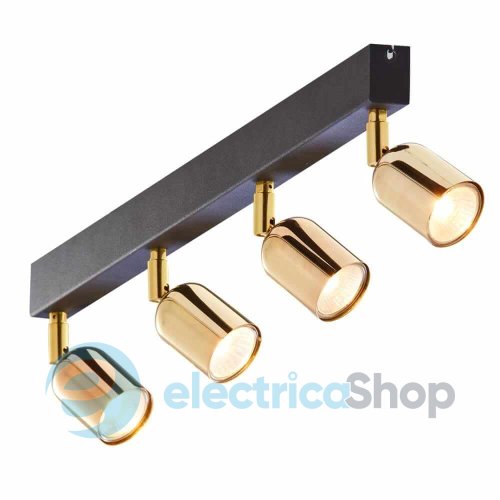 Светильник-спот TK-Lighting Top GOLD 6033