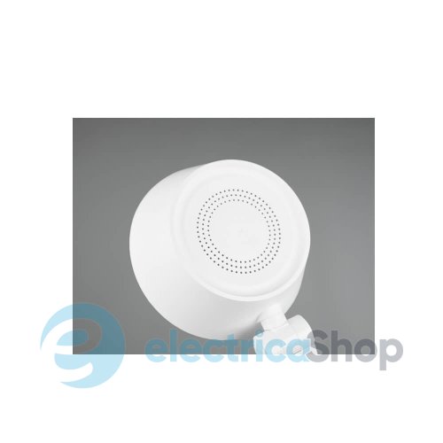 Настільна лампа TRIO 523090131 AVA