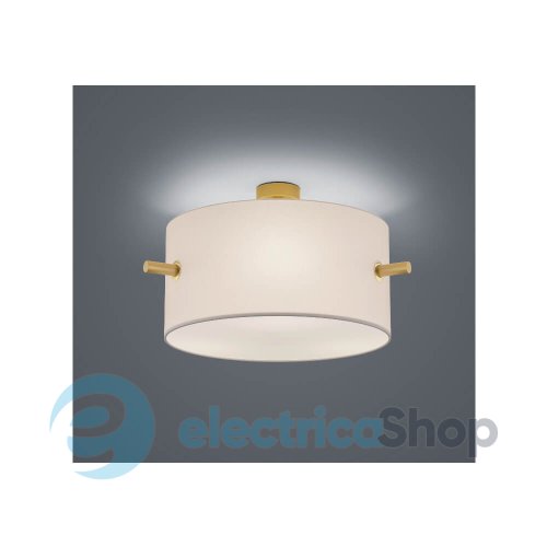 Стельовий світильник TRIO CAMDEN 608300308

