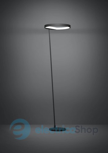 Торшер Eglo CAREDARA LED (390167)