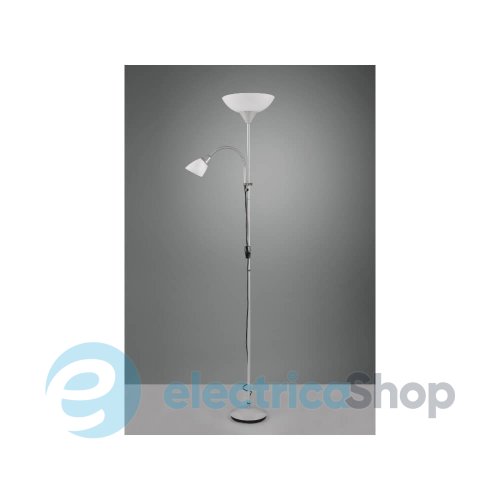 Торшер TRIO ERZWO R4393-87
