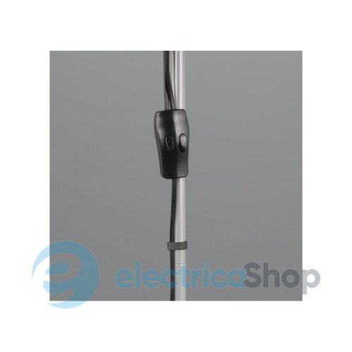 Торшер TRIO ERZWO R4393-87
