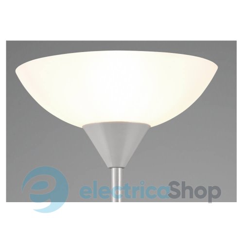 Торшер TRIO ERZWO R4393-87
