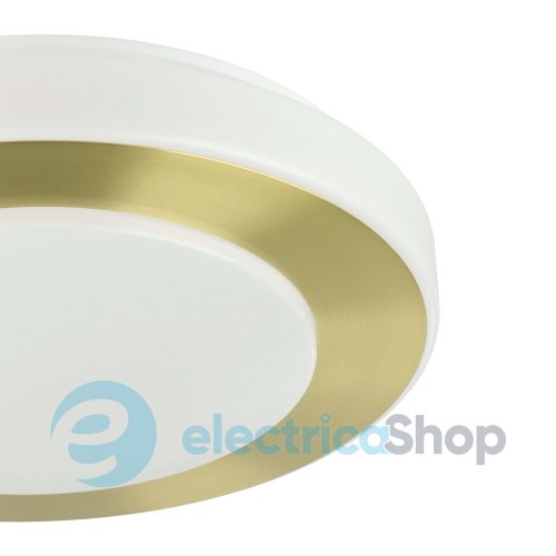 Потолочный светильник Eglo CARPI LED 900369