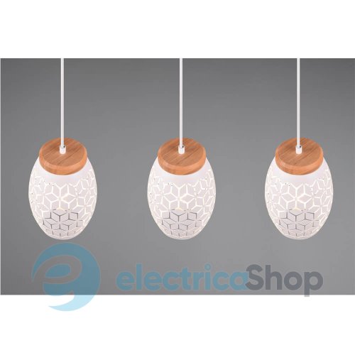 Подвесной светильник TRIO R31573031 BIDAR