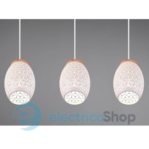 Подвесной светильник TRIO R31573031 BIDAR