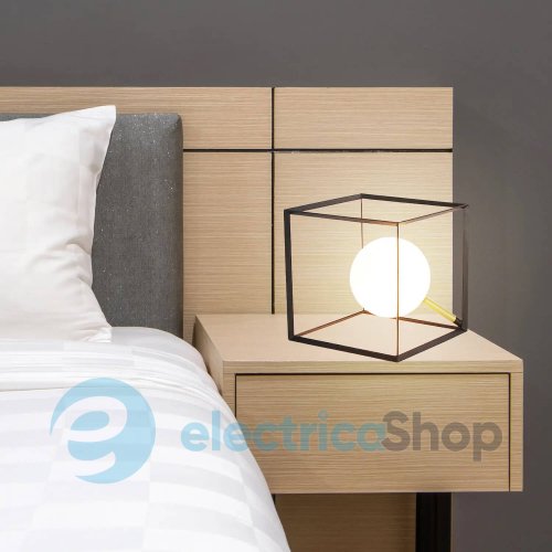 Настільна лампа Candellux WEERT 50501048