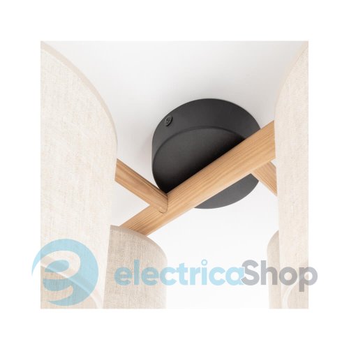 Потолочный светильник TK-Lighting DEVA NATURE 4 6866