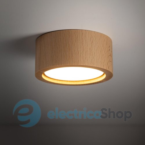 Точечный светильник TK-Lighting EVE WOOD BUK 10123