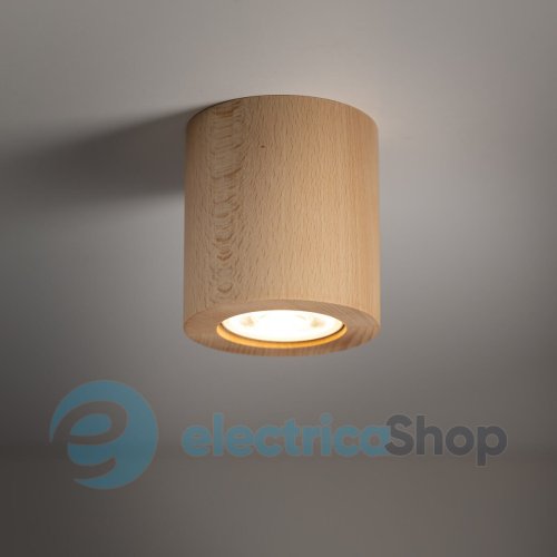 Точечный светильник TK-Lighting EVE WOOD BUK 10121