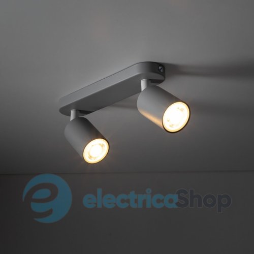 Светильник-спот TK-Lighting LIVIA GRAY 2 10241