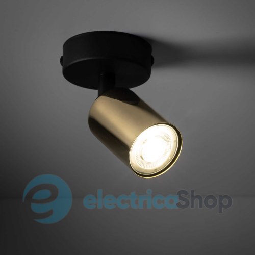 Светильник-спот TK-Lighting Top GOLD 6088