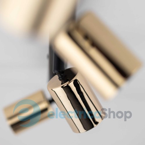 Светильник-спот TK-Lighting Top GOLD 5969