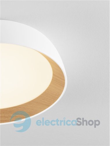 Потолочный светильник SIGI 9030502 Nova Luce