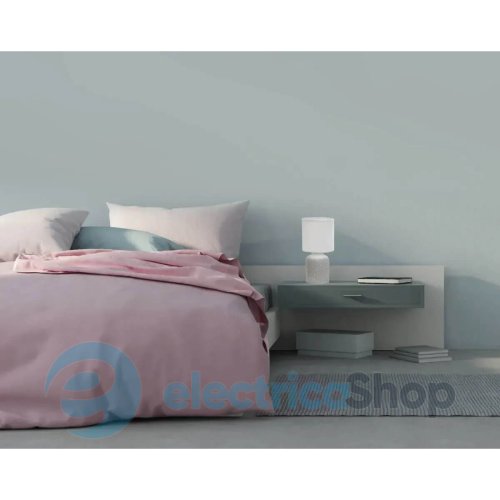 Настільна лампа Candellux INER 41-79886
