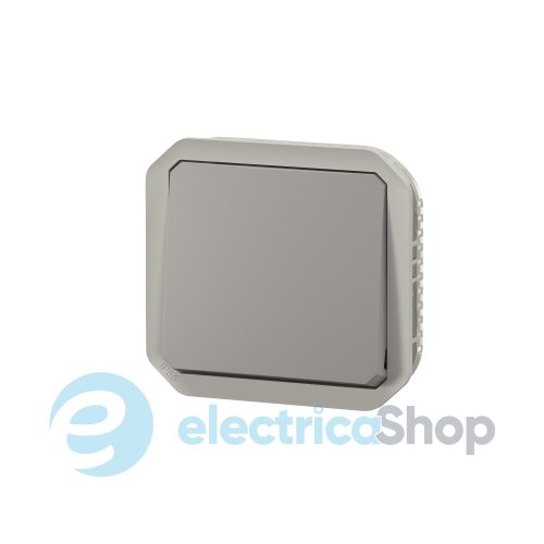Выключатель 1-кл. 2-пол. 10А/250В мех-м. Legrand Plexo New 069530L серый цвет