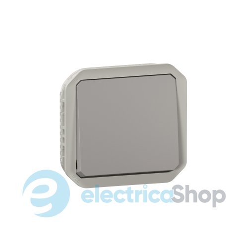 Выключатель 1-кл. 2-пол. 10А/250В мех-м. Legrand Plexo New 069530L серый цвет