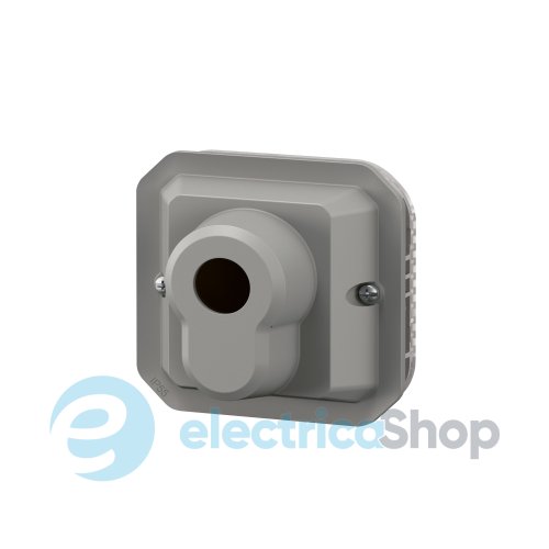 Выключатель с ключом 10А/250В 2-позиц. с еврозамком мех-м. Legrand Plexo New 069706L серый цвет