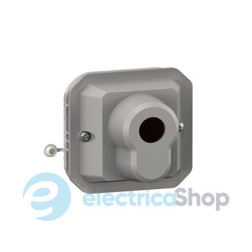 Выключатель с ключом 10А/250В 2-позиц. с еврозамком мех-м. Legrand Plexo New 069706L серый цвет