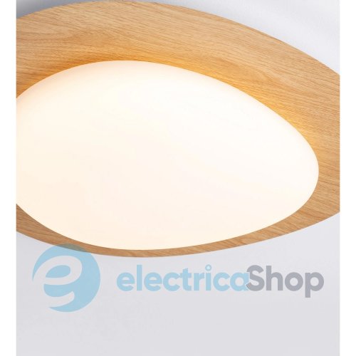 Светильник потолочный NIMBUS 9030648 Nova Luce