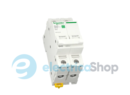 Автоматический выключатель 2P, 6 A, B, 6kA Schneider Electric Resi9