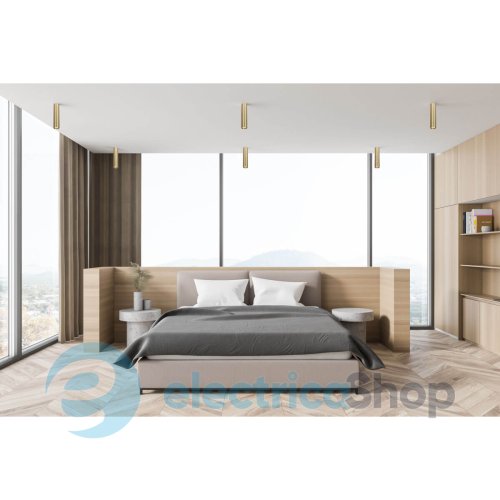Точковий світильник Italux Lopus CLN-48930-L-GD