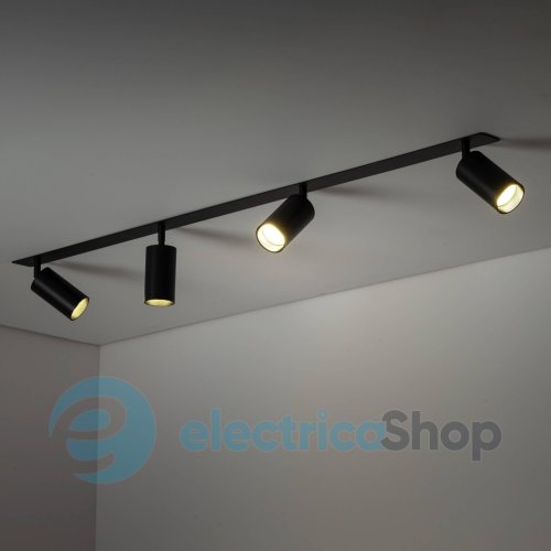 Світильник-спот TK-Lighting AMIS 10809