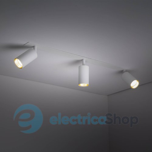 Світильник-спот TK-Lighting AMIS 10812