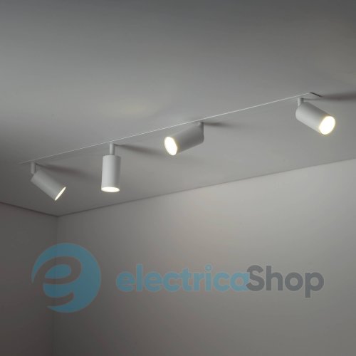 Світильник-спот TK-Lighting AMIS 10813