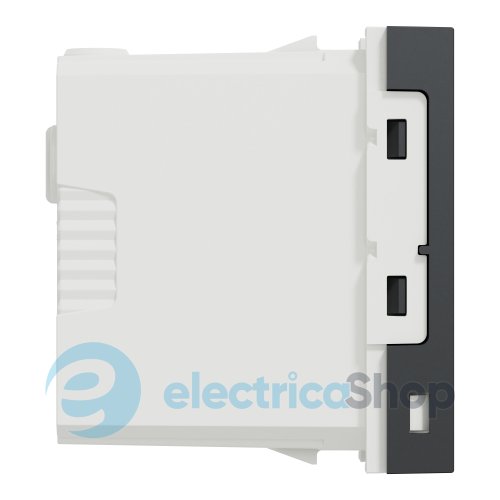 Розетка USB тип A+C, 12 Вт, 1 модуль, New Unica NU301654 (Schneider Electric) антрацит