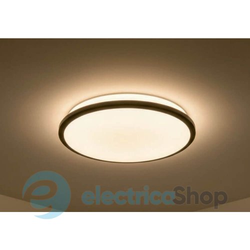 Стельовий світильник Zuma Line MOREN MS70224V-BK